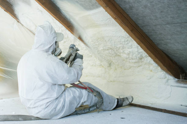 Western Springs, IL Insulation Services Company